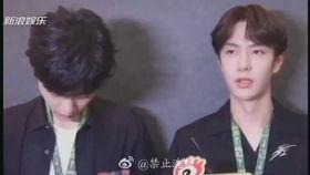 娱乐圈吃瓜嗑cp小说推荐