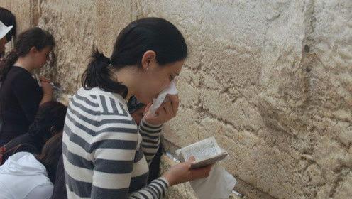 失眠者吃瓜娱乐圈